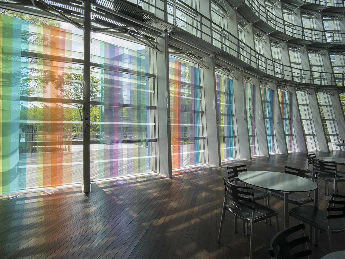 2017年の日本の色を見つけよう