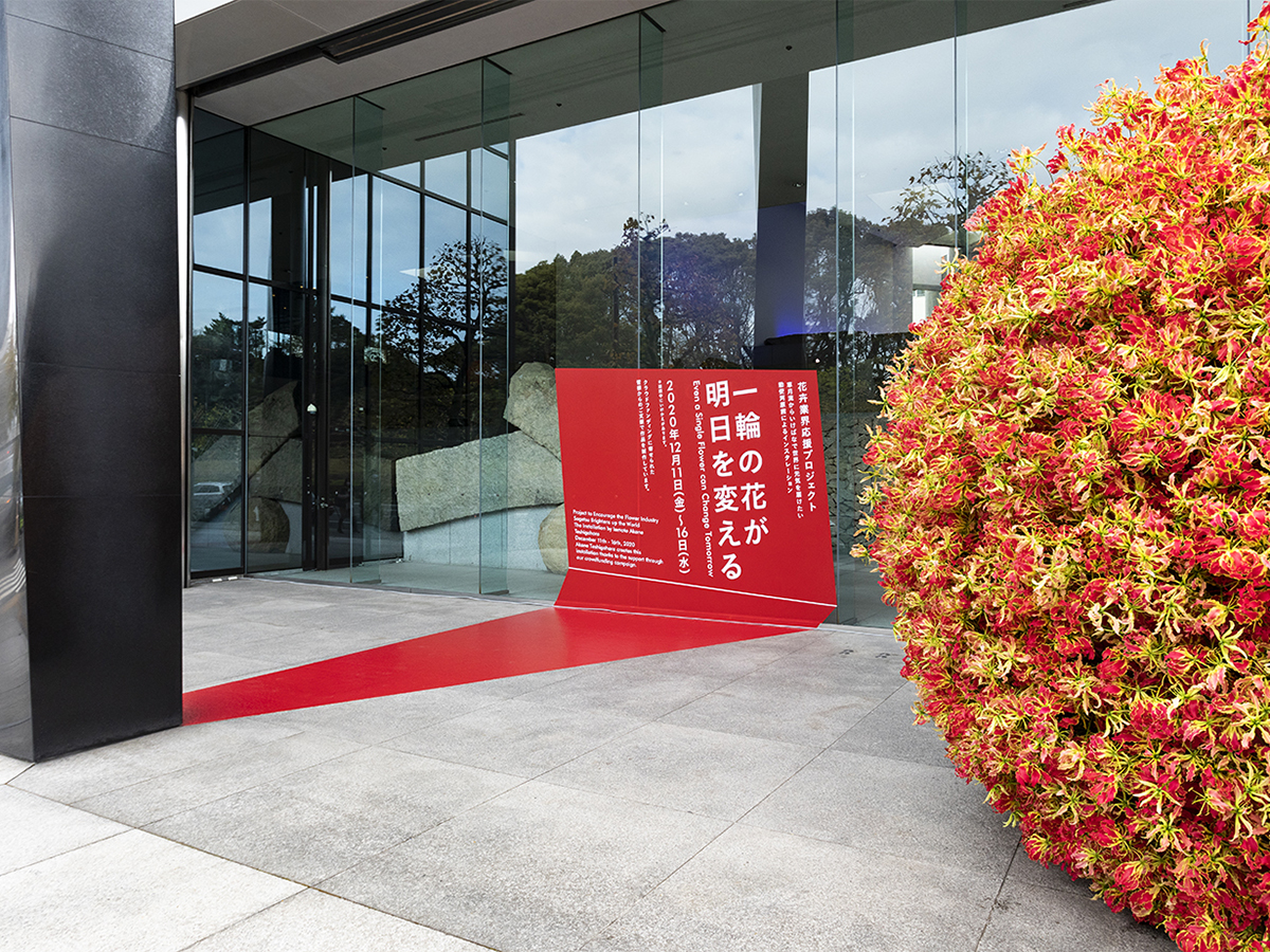 一輪の花が、明日を変える