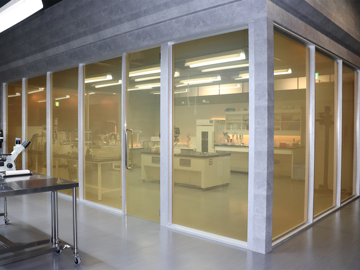 ドラマ「科捜研の女 2022」