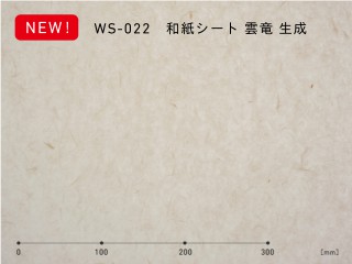 ws-022