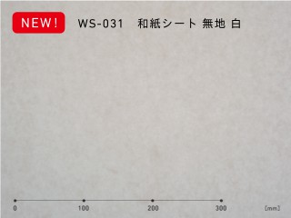 ws-031