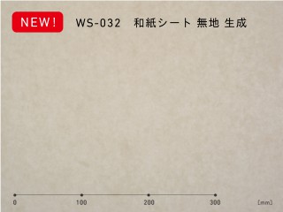 ws-032