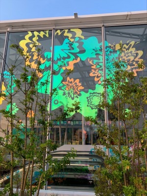 MicrosoftTeams-image (5)